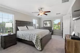 28580 Tranquil Lake Cir, Wesley Chapel, FL 33543 - Photo 21