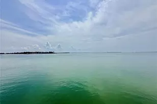 6219 Palma Del Mar Blvd S, Saint Petersburg, FL 33715 - Photo 57