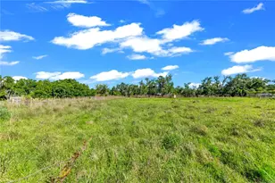 13610 Acker Rd, Dover, FL 33527 - Photo 23