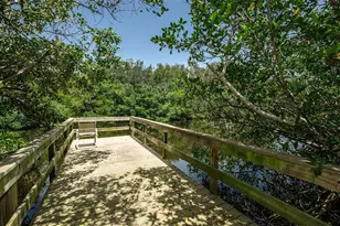 932 Myakka Ct NE, Saint Petersburg, FL 33702 - Photo 47