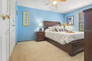 391 Walnut Ct, Palm Harbor, FL 34683 - Photo 15