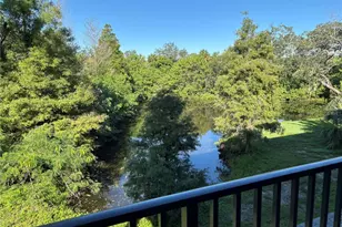 870 Tennyson Mill Cir, Tampa, FL 33619 - Photo 7