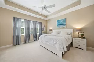 30852 Spruceberry Ct, Wesley Chapel, FL 33543 - Photo 23