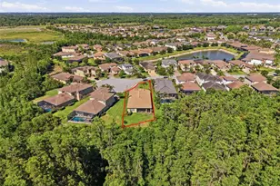 30852 Spruceberry Ct, Wesley Chapel, FL 33543 - Photo 43