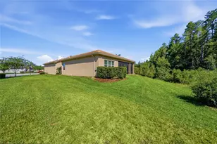 30852 Spruceberry Ct, Wesley Chapel, FL 33543 - Photo 41
