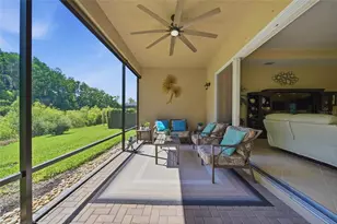 30852 Spruceberry Ct, Wesley Chapel, FL 33543 - Photo 37