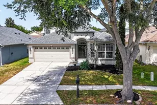 10024 Coldwater Loop, Land O Lakes, FL 34638 - Photo 27