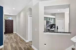 10024 Coldwater Loop, Land O Lakes, FL 34638 - Photo 7