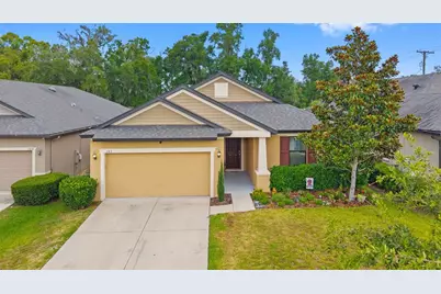 107 Elina Sky Drive, Seffner, FL 33584 - Photo 27