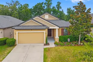 107 Elina Sky Dr, Seffner, FL 33584 - Photo 27