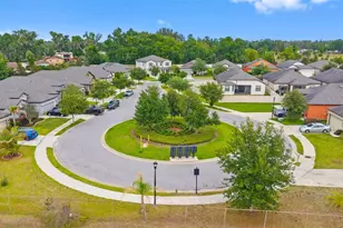 107 Elina Sky Dr, Seffner, FL 33584 - Photo 21