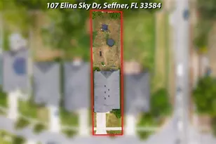 107 Elina Sky Dr, Seffner, FL 33584 - Photo 19