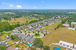 107 Elina Sky Dr, Seffner, FL 33584 - Photo 29
