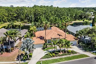 4561 Roanoak Way, Palm Harbor, FL 34685 - Photo 59