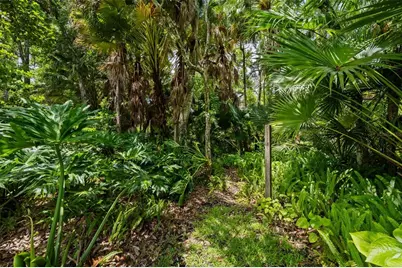 344 Cascade Lane, Palm Harbor, FL 34684 - Photo 67