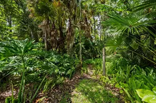 344 Cascade Ln, Palm Harbor, FL 34684 - Photo 67