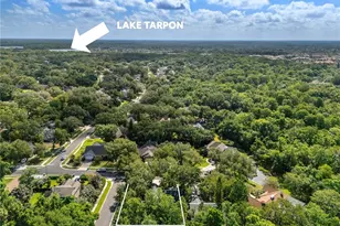 344 Cascade Ln, Palm Harbor, FL 34684 - Photo 73
