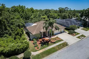 22754 Magnolia Trace Blvd, Lutz, FL 33549 - Photo 53