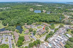 30 Ingrid Pl, Oldsmar, FL 34677 - Photo 47