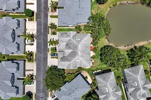 441 Harbor Ridge Dr, Palm Harbor, FL 34683 - Photo 47