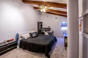5003 Umber Way S, Tampa, FL 33624 - Photo 43