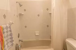 5003 Umber Way S, Tampa, FL 33624 - Photo 47