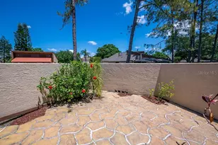 5003 Umber Way S, Tampa, FL 33624 - Photo 47