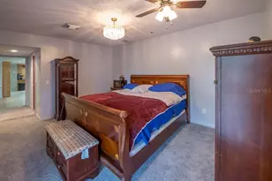 5003 Umber Way S, Tampa, FL 33624 - Photo 39