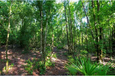 18233 185th Rd, Live Oak, FL 32060 - Photo 71