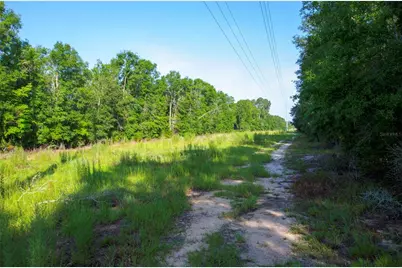 18233 185th Rd, Live Oak, FL 32060 - Photo 57