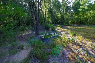 18233 185th Rd, Live Oak, FL 32060 - Photo 51