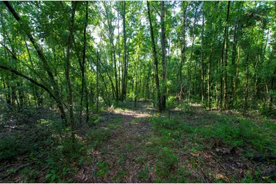 18233 185th Rd, Live Oak, FL 32060 - Photo 67