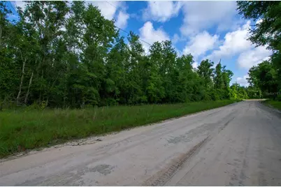 18233 185th Rd, Live Oak, FL 32060 - Photo 9