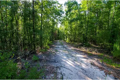 18233 185th Rd, Live Oak, FL 32060 - Photo 73