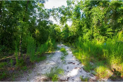 18233 185th Rd, Live Oak, FL 32060 - Photo 57