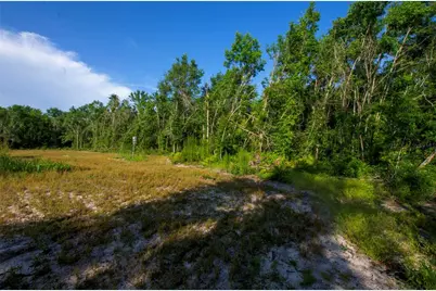 18233 185th Rd, Live Oak, FL 32060 - Photo 63