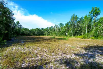 18233 185th Rd, Live Oak, FL 32060 - Photo 61