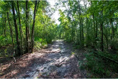 18233 185th Rd, Live Oak, FL 32060 - Photo 79