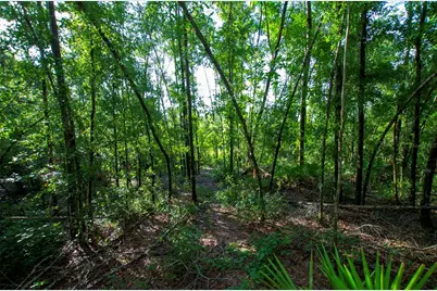 18233 185th Rd, Live Oak, FL 32060 - Photo 65