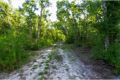 18233 185th Rd, Live Oak, FL 32060 - Photo 49