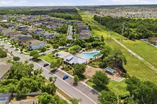 13917 Roseate Tern Ln, Riverview, FL 33579 - Photo 43
