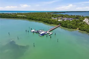 9 Forbes Pl Pl, Dunedin, FL 34698 - Photo 51