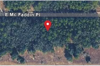 389 E Mc Faddin Place E, Dunnellon, FL 34434 - Photo 1