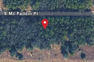 389 E Mc Faddin Pl E, Dunnellon, FL 34434 - Photo 1