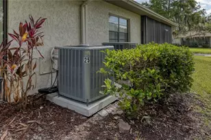 25 Tads Trail, Oldsmar, FL 34677 - Photo 39