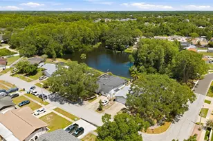 6640 Winding Oak Dr, Tampa, FL 33625 - Photo 47