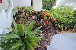 3549 Indigo Pond Dr, Palm Harbor, FL 34685 - Photo 3
