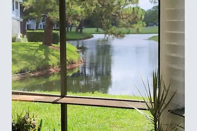 3549 Indigo Pond Drive, Palm Harbor, FL 34685 - Photo 13