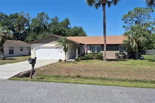 4625 Canterbury Dr, Land O Lakes, FL 34639 - Photo 1
