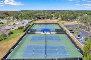 2291 Shelly Dr, Palm Harbor, FL 34684 - Photo 41